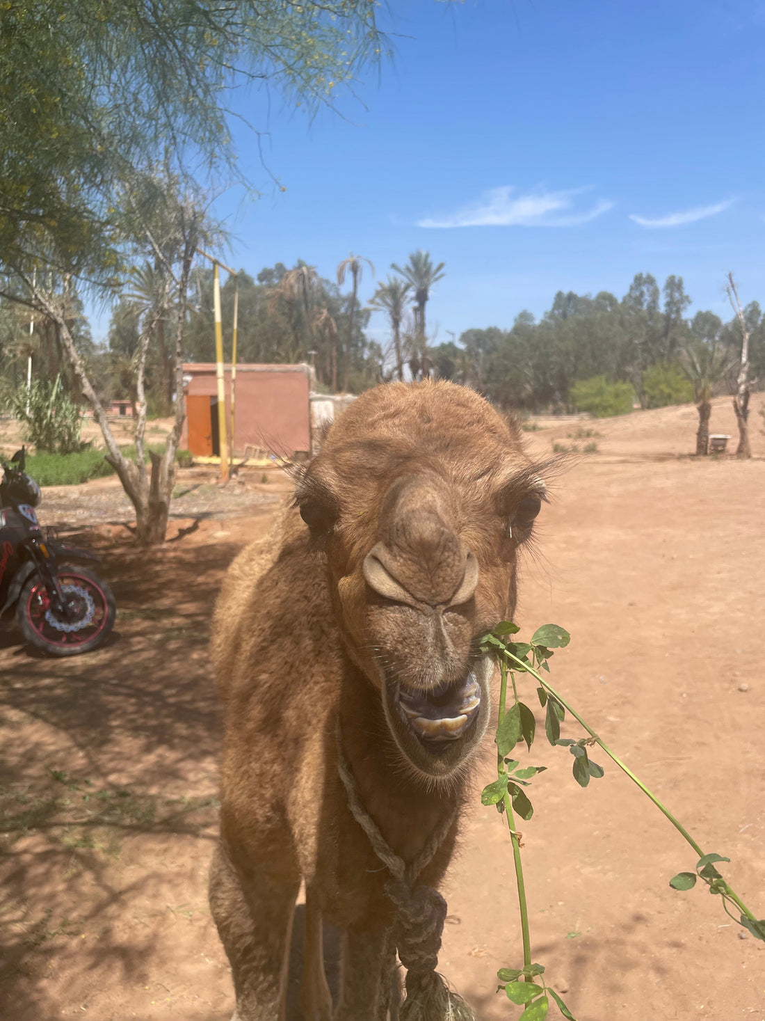 Wat moet je gezien hebben in Marrakech: 10 tips!